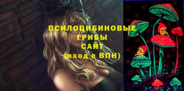 скорость Алзамай