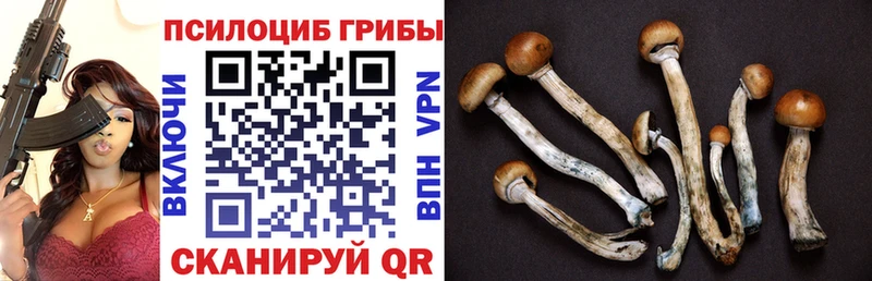 ссылка на мегу tor Родники Галлюциногенные грибы Magic Shrooms